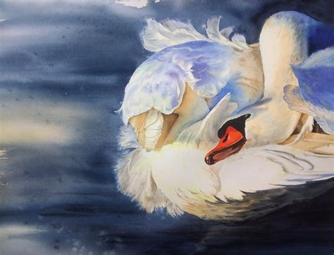 Swan Fidelity White Swan Painting Swan Lake Swan Watercolor
