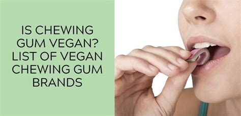 Is Chewing Gum Vegan Best Vegan Chewing Gum Brands To Buy 2023