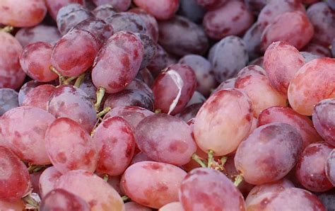 11 Popular Grape Varieties
