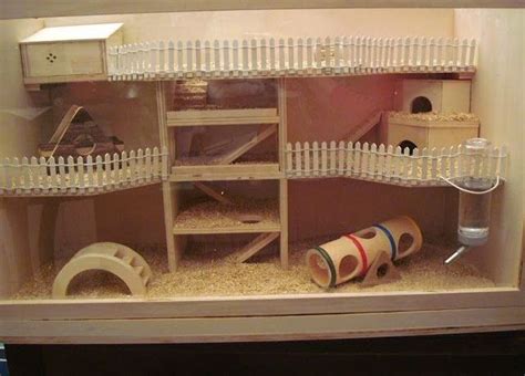 10 Secrets About Diy Hamster House The Government Is Hiding Pix Pig