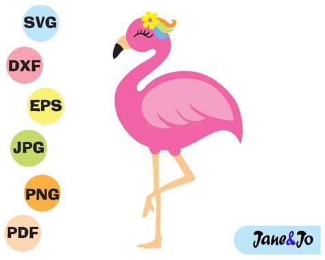 Flamingo Svg Flamingo Clip Art Pink Flamingo Vector Cute Etsy