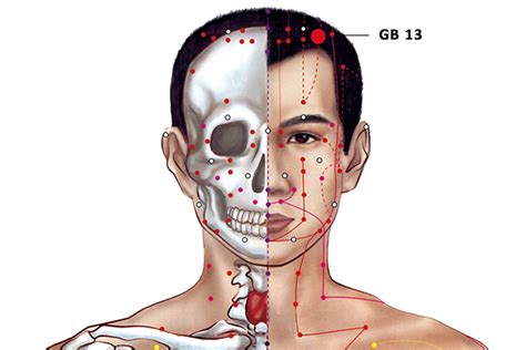 Gb 13 Acupuncture Pointbenshen Or Gallbladder 13 Peakmassager