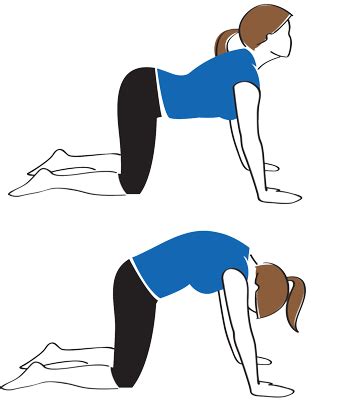 From a position of all fours on your yoga mat, straighten your arms directly below your shoulders. Pin on Health