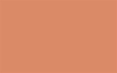 1680x1050 Pale Copper Solid Color Background