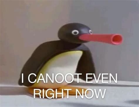 Nooting Special Pingu Memes Wholesome Memes Bad Memes