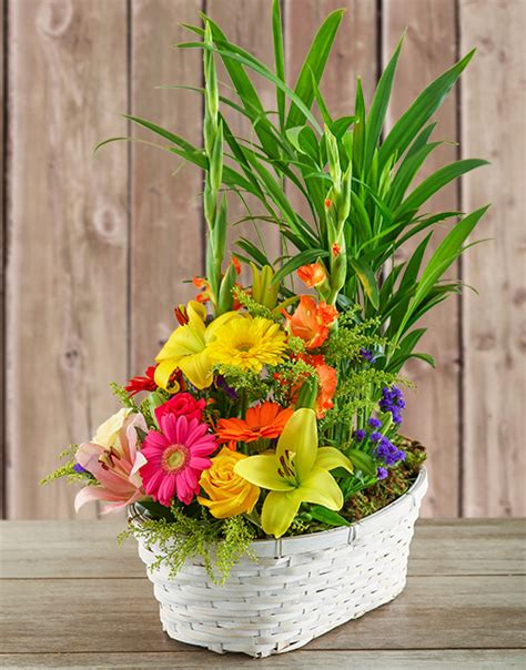 Mothers Day Plant With Flower Arrangement In A Basket Hamperlicious