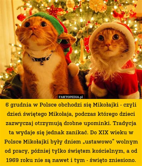Kto pokazał dzieci, a kto prezenty? 6 grudnia w Polsce obchodzi się Mikołajki - czyli dzień ...