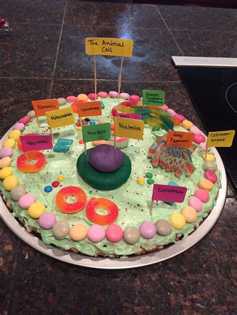 Animal cell made out of jello. The 25+ best Edible animal cell ideas on Pinterest ...
