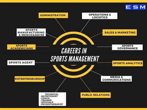 15 Careers In Sports Management 2022 Explore Sports Management