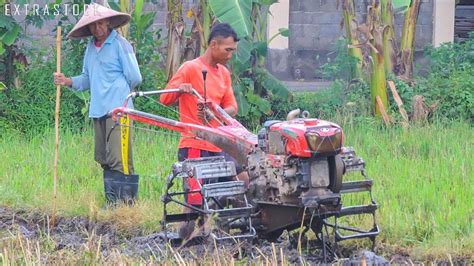 Selain itu sebagian area pesawahan dekat dengan objek wisata, menjadikan membajak sawah dengan kerbau atau. Medan Berat! Ayah Dan Anak Membajak Lahan Berumput Dengan ...