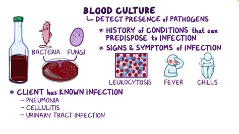 Blood Cultures Nursing Osmosis Video Library