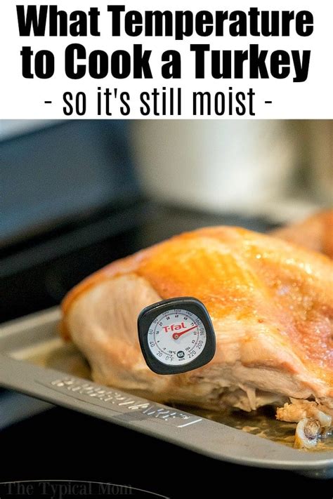 Precooked ham (to reheat) note: Printable Internal Meat Temperature Chart - FREE for You!