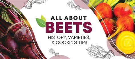 All About Beets History Varieties And Cooking Tips