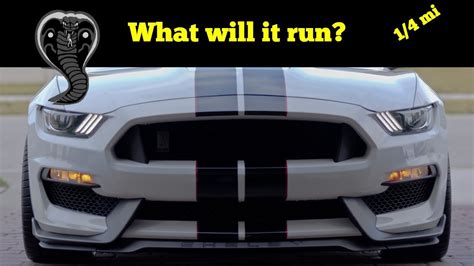Shelby Gt350 First 14 Mile Pass At Orlando Speed World Youtube