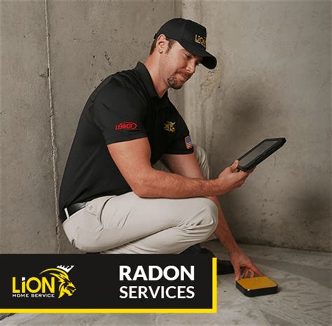The Importance Of Radon Testing Fort Collins Co Lion Home Service