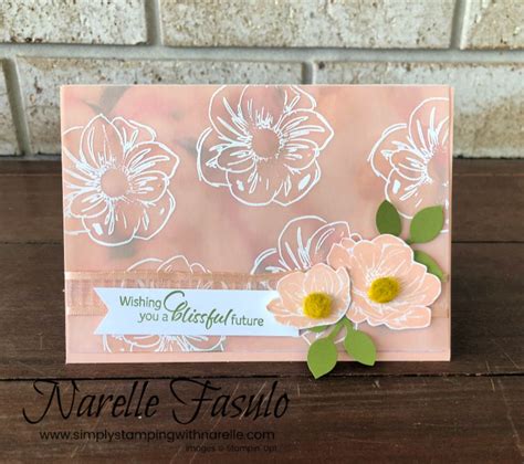Simply Stamping With Narelle Coloured Vellum Cards
