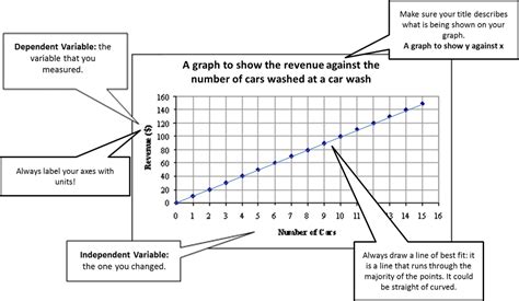How To Draw A Graph In Word How To Draw Curved Line Graph In Rezfoods