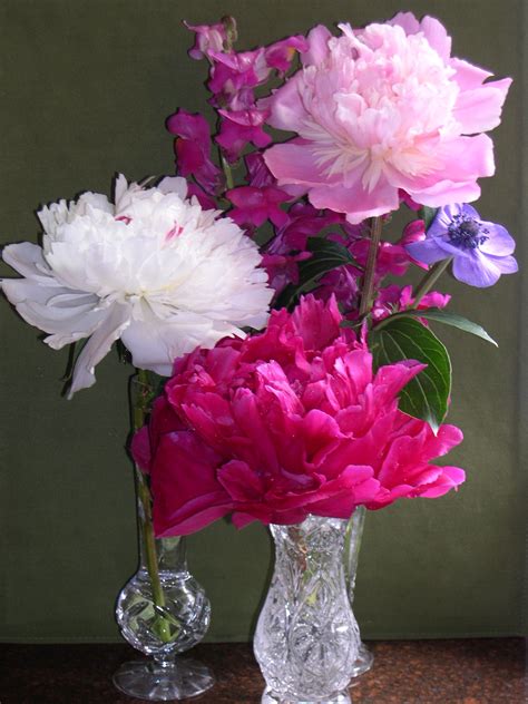Peonies Flower Vase Arrangements Silk Peonies Arrangement Pink
