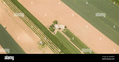 Arable Land Hi Res Stock Photography And Images Alamy