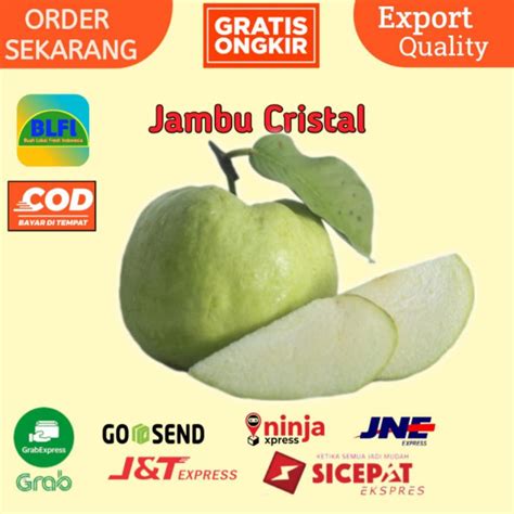 Jual Buah Jambu Kristal Super Jambu Segarrr Shopee Indonesia