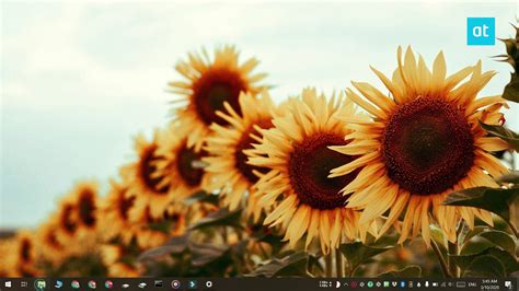How To Find The Current Desktop Background Image In Windows 10 Youtube