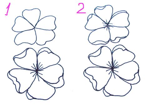 Sakura Flower Drawing Easy Get Images One