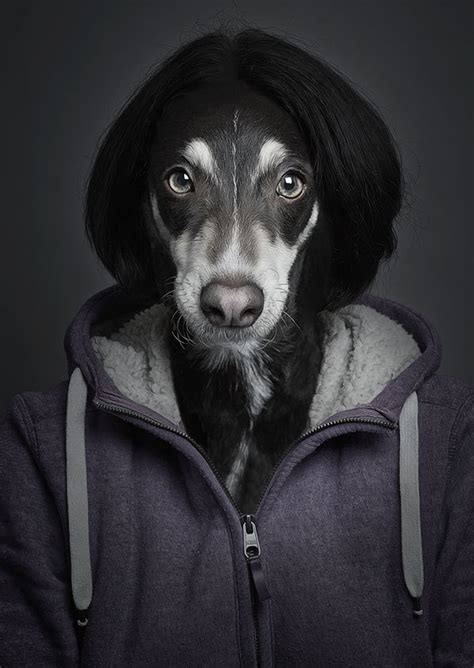 Insanetwist Portraits Of Dogs Dressed Like Humans