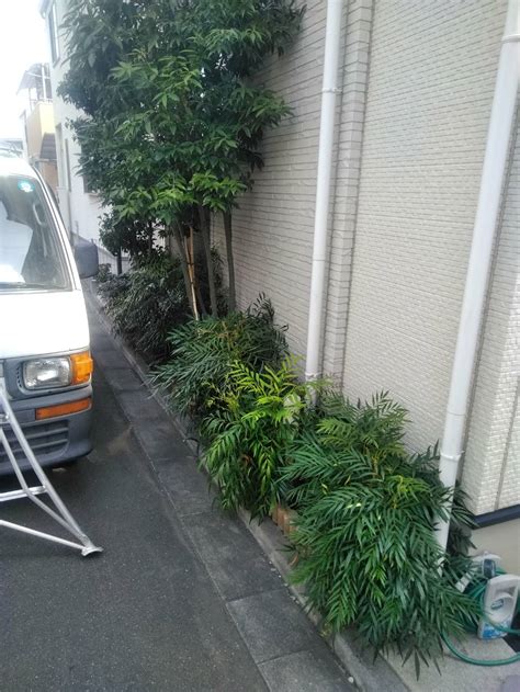 植栽スペースの木を処分して固まる土施工。駐輪スペースに／和光市 | お庭の専門店ニワナショナル（東京・埼玉）