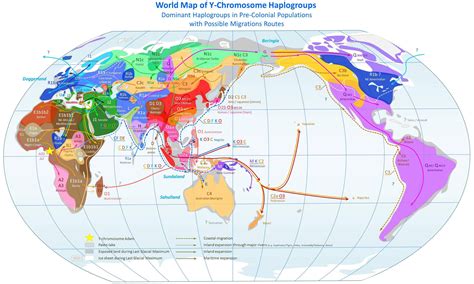 A Beautiful Slightly Outdated Map Of The Dominant Y Haplogroups Male