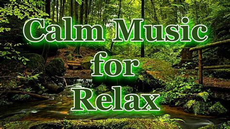 Beautiful Relaxing Music For Stress Relief Soothing Lullaby For Sleeping Youtube