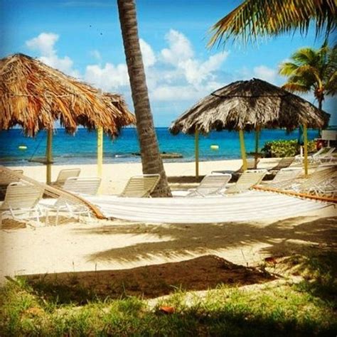 Villa Margarita St Croix USVI Best Us Virgin Island Island Beach St