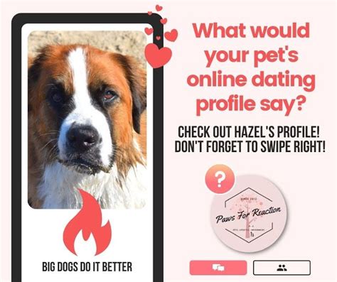 Your Pet Could Be Featured In 2021 Pets Online Online Dating Profile