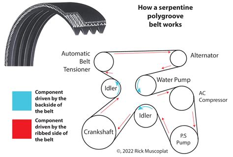 Serpentine Belt Versus Timing Belt — Ricks Free Auto Repair Advice