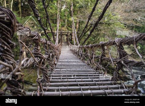 The Iya Kazurabashi Vine Bridge Made Of Actinidia Arguta And Steel