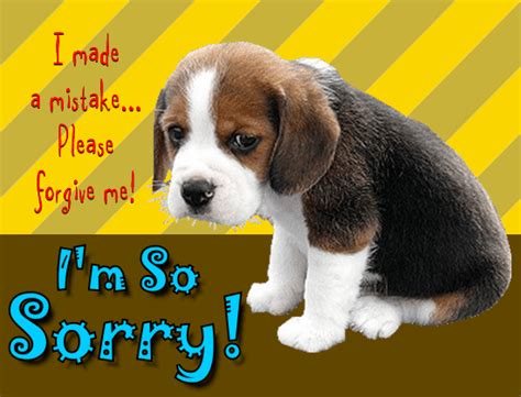 Puppy Is So Sorry Free Sorry Ecards Greeting Cards 123 Greetings
