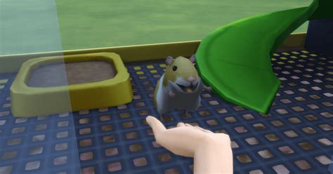 The Sims 4 My First Pet Stuff First Look Platinum Simmers
