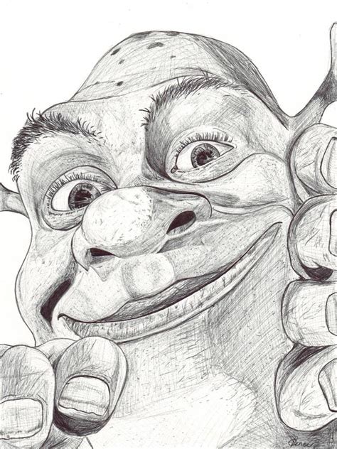 How To Draw Shrek And Donkey At How To Draw