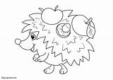 Printable Coloring Hedgehog Hedgehogs Autumn Activity sketch template