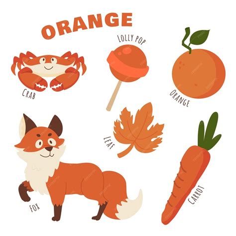 Free Vector Orange Objects And Vocabulary Words Pack