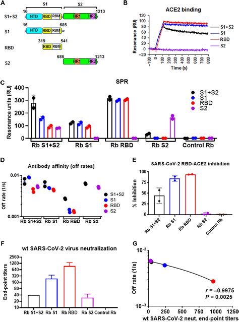 Antibody Signature Induced By Sars Cov 2 Spike Protein Immunogens In