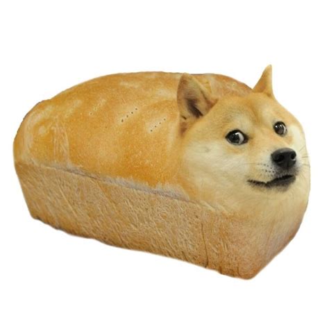 Doge Meme Loaf Of Doge Posters By Memesense Redbubble