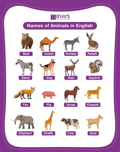 Animals Names Explore List Of 100 Names Of Animals In English Eu