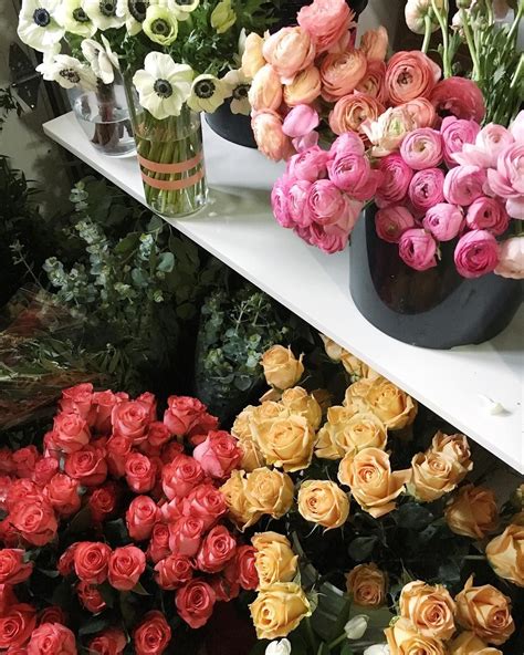 Citta mall has been mentioned more than a dozen times throughout the rss channels we monitor. Pin by Patricia Standridge-Main on Flower & Garden Shoppe ...