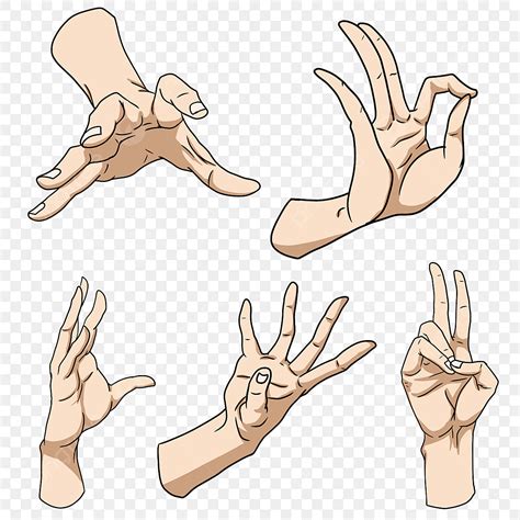 Hand Poses Vector Png Images Hand Pose Free Vector Finger Gesture
