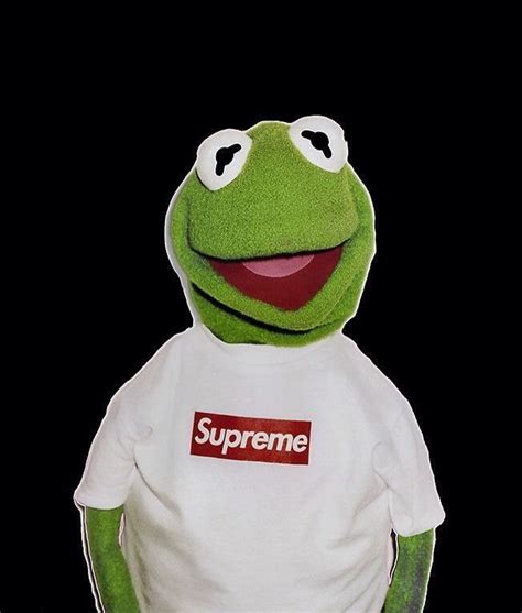 Kermit The Frog Supreme Wallpaper Hd Wallpaper Download