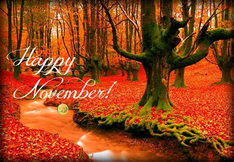 Happy November! #UAMP #GoodbyeOctober #HelloNovember | Happy november, Hello november, Holidays ...