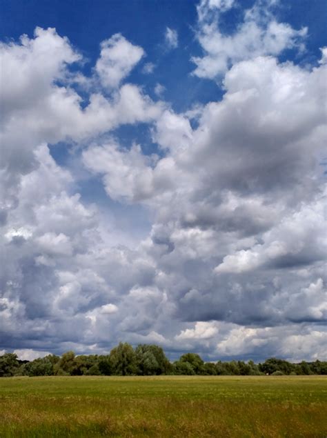 Sky Clouds Field Meadow Free Stock Photo Public Domain Pictures