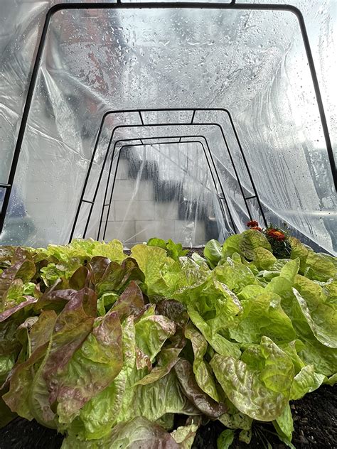 35mo Finance Farm Plastic Supply Clear Greenhouse Plastic