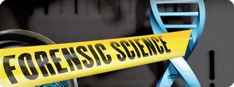 Forensic Science Resources For Teachers And Students Educational