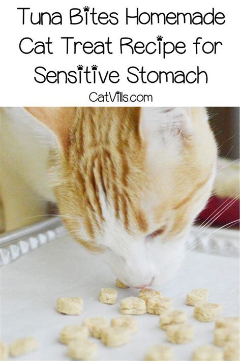 Purina friskies party mix original crunch cat treats are the tempting tuna variety of greenies dental cat treats are another popular choice with cat parents. Tuna Bites Homemade Cat Treat Recipe for Sensitive Stomach